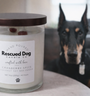 Cranberry Spice Candle